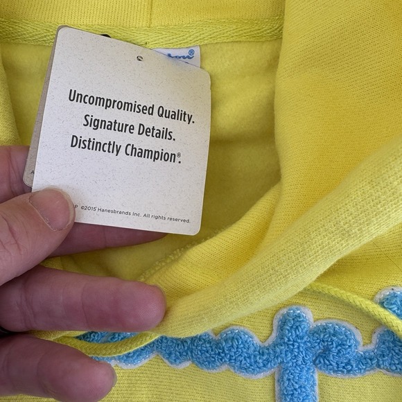 Champion Men's Large Chenille Reverse Weave Neon Yellow Blue Pink Sweatshirt - Picture 8 of 15